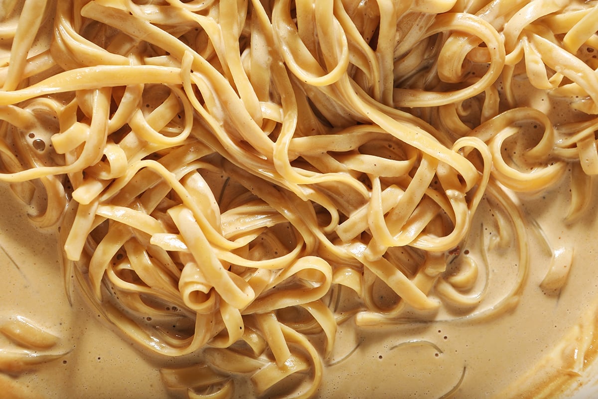 close up of pasta in a creamy sauce 