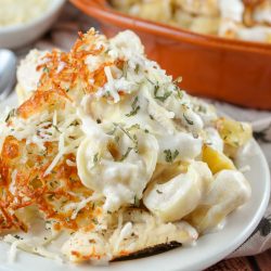 creamy tortellini on a plate