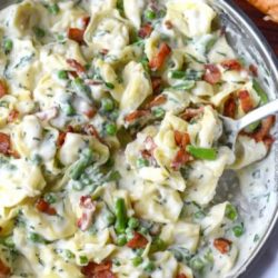 creamy tortellini pasta in a skillet