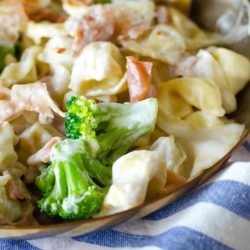 loaded alfredo pasta in a pan