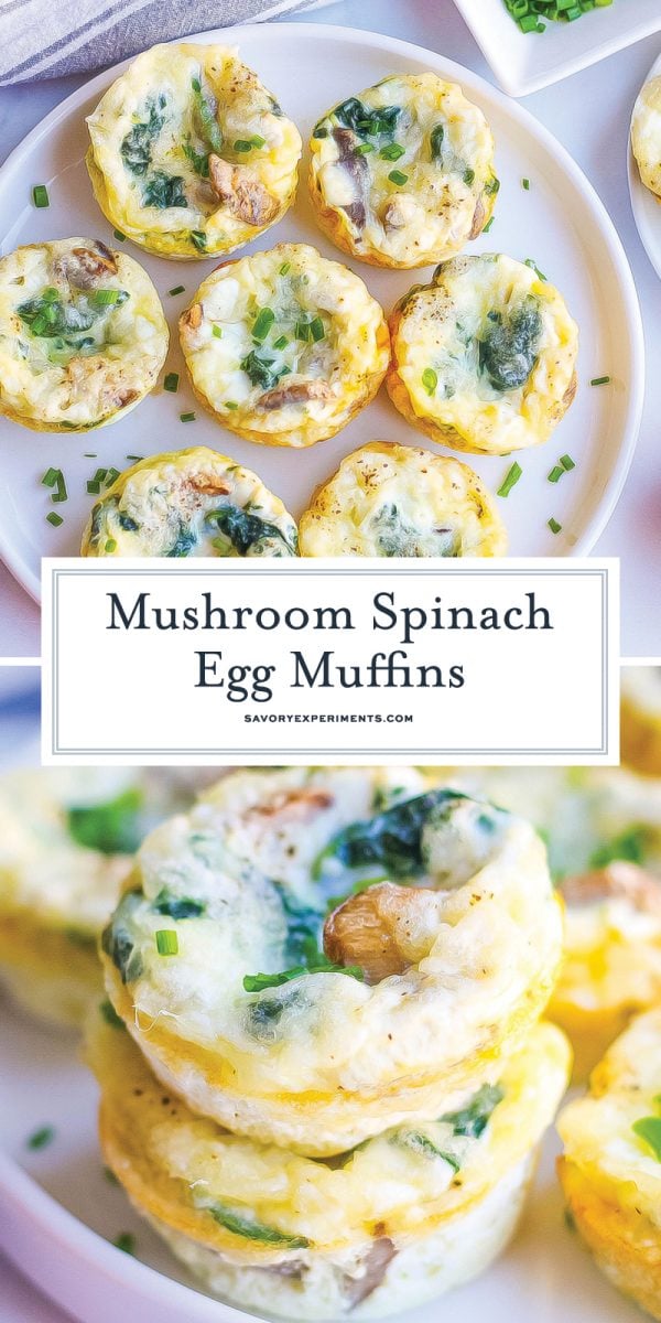 mushroom spinach egg muffins for pinterest 