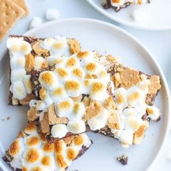 overhead plate of smores brownies