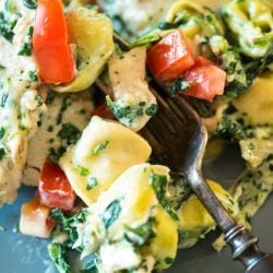 close up of spinach artichoke pasta