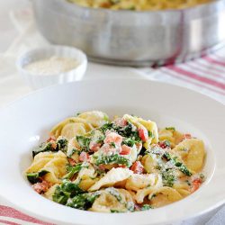 angled shot of tortellini pasta in bowl