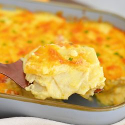 spatula with au gratin potatoes