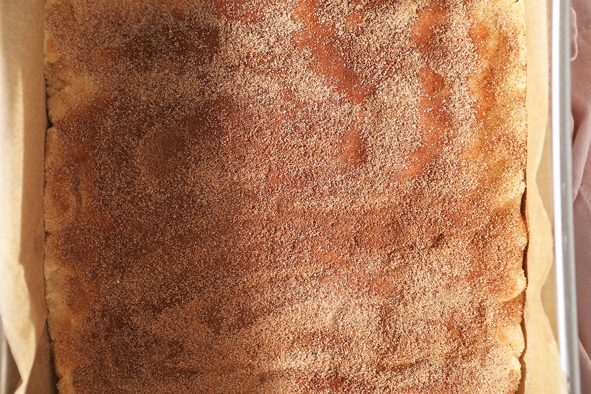 cinnamon sugar covered cookie dough in a baking pan 