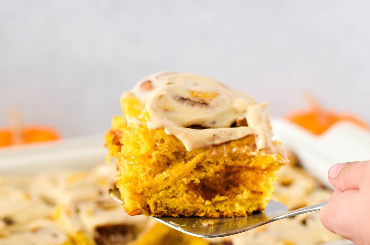 spatula holding a pumpkin cinnamon roll with cream cheese frosting 