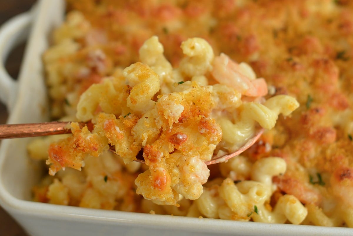 close up spoon of seafood mac and cheese