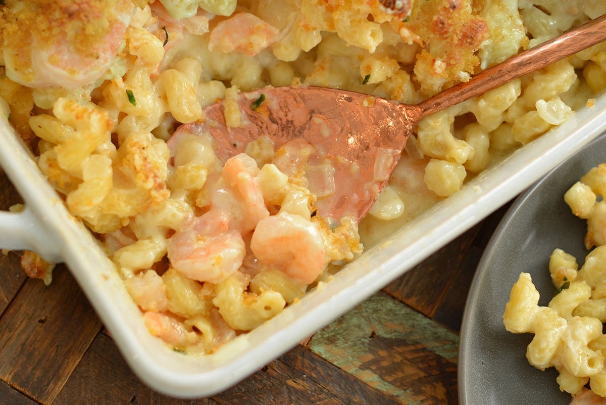 spoon in pasta with shrimp 