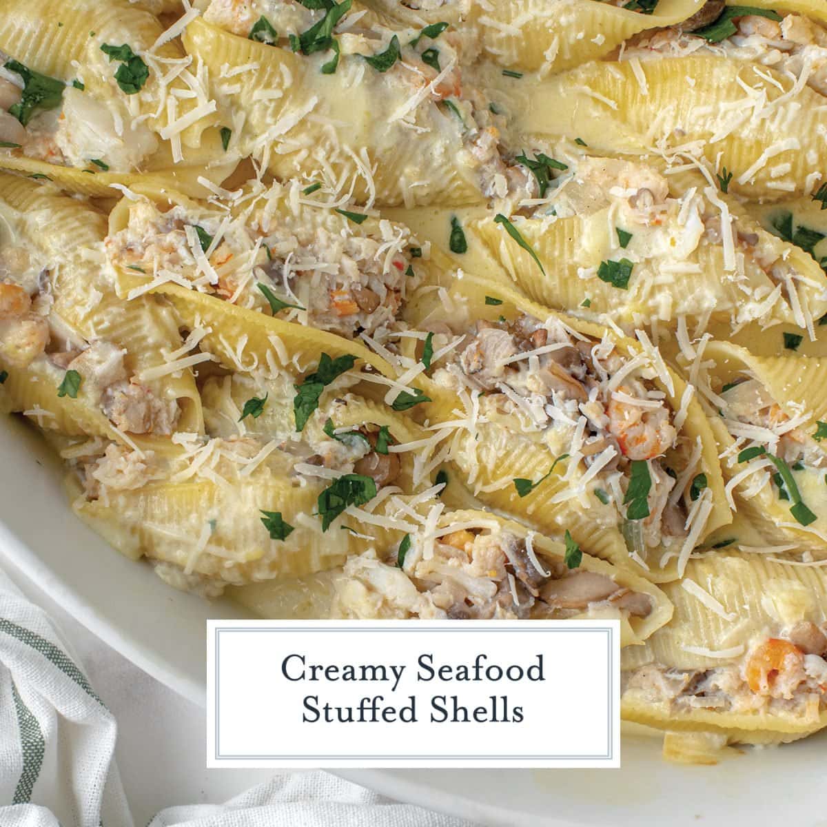 close up of cheese and creamy sauce covered shells