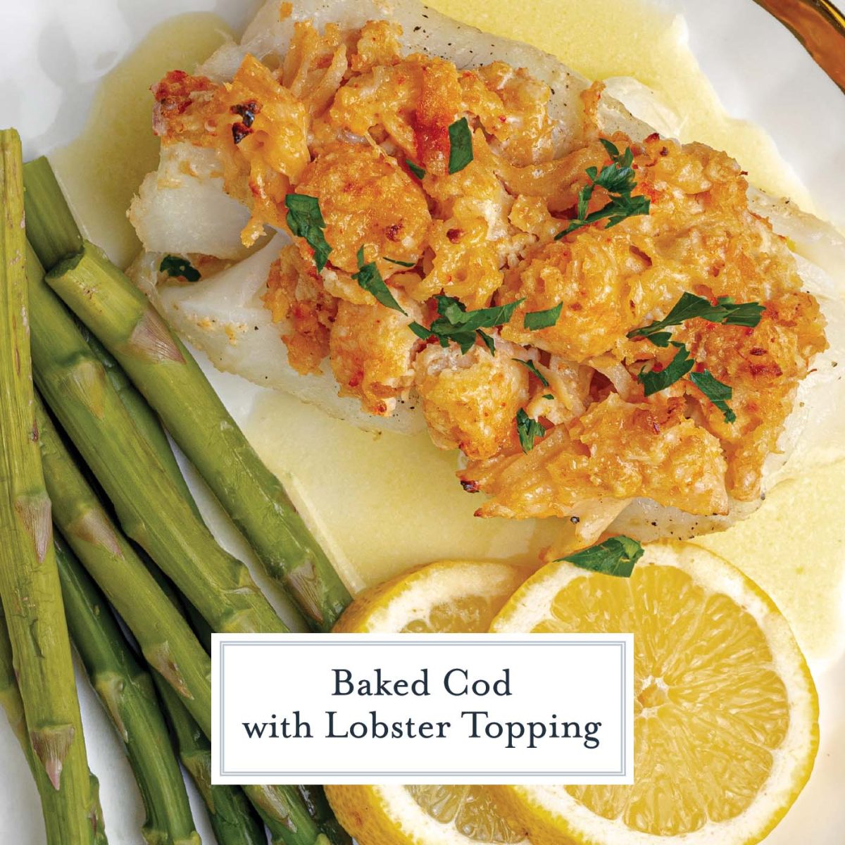 overhead closeup of lobster topped cod fillet on a white serving plate 