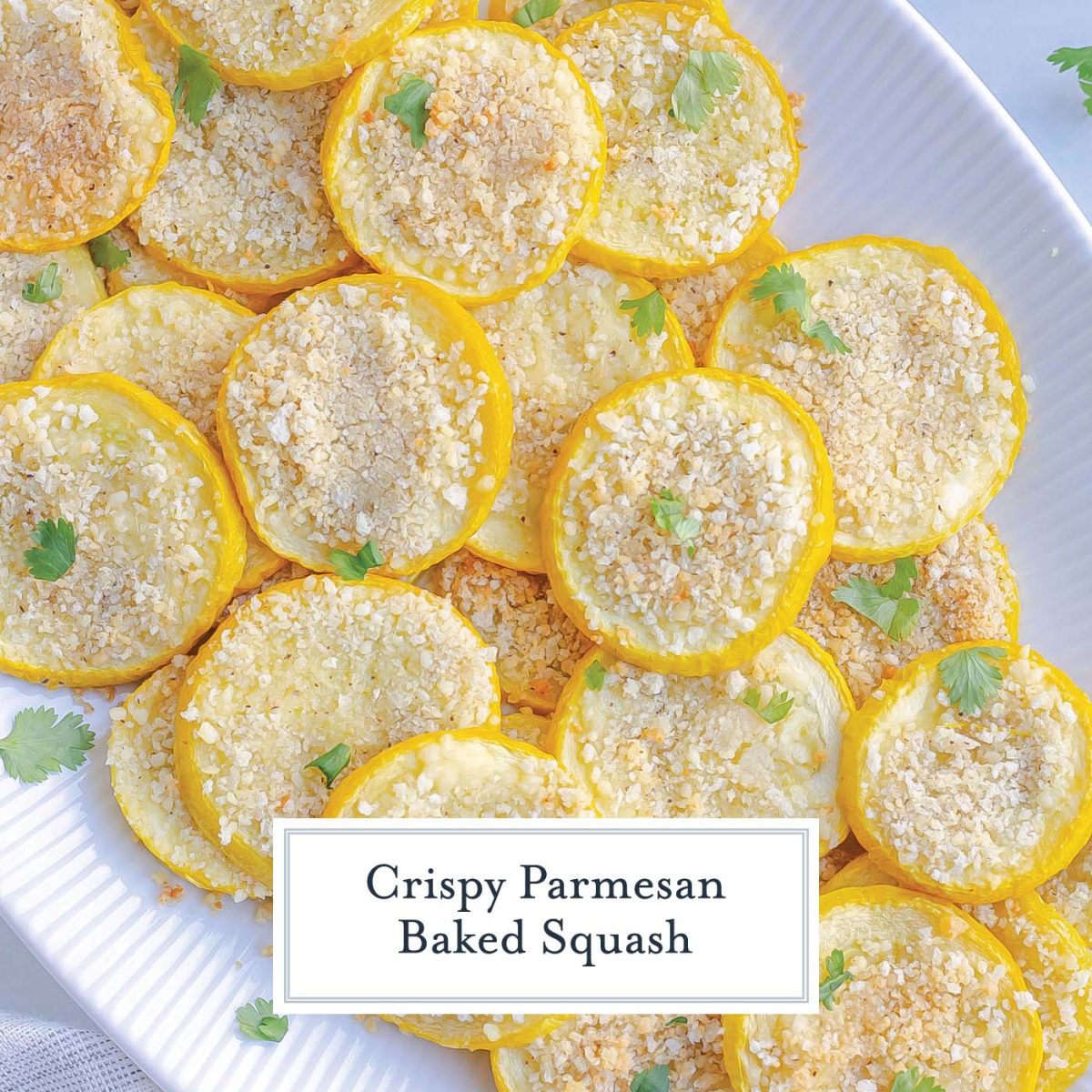 overhead of crispy squash on a white serving platter 