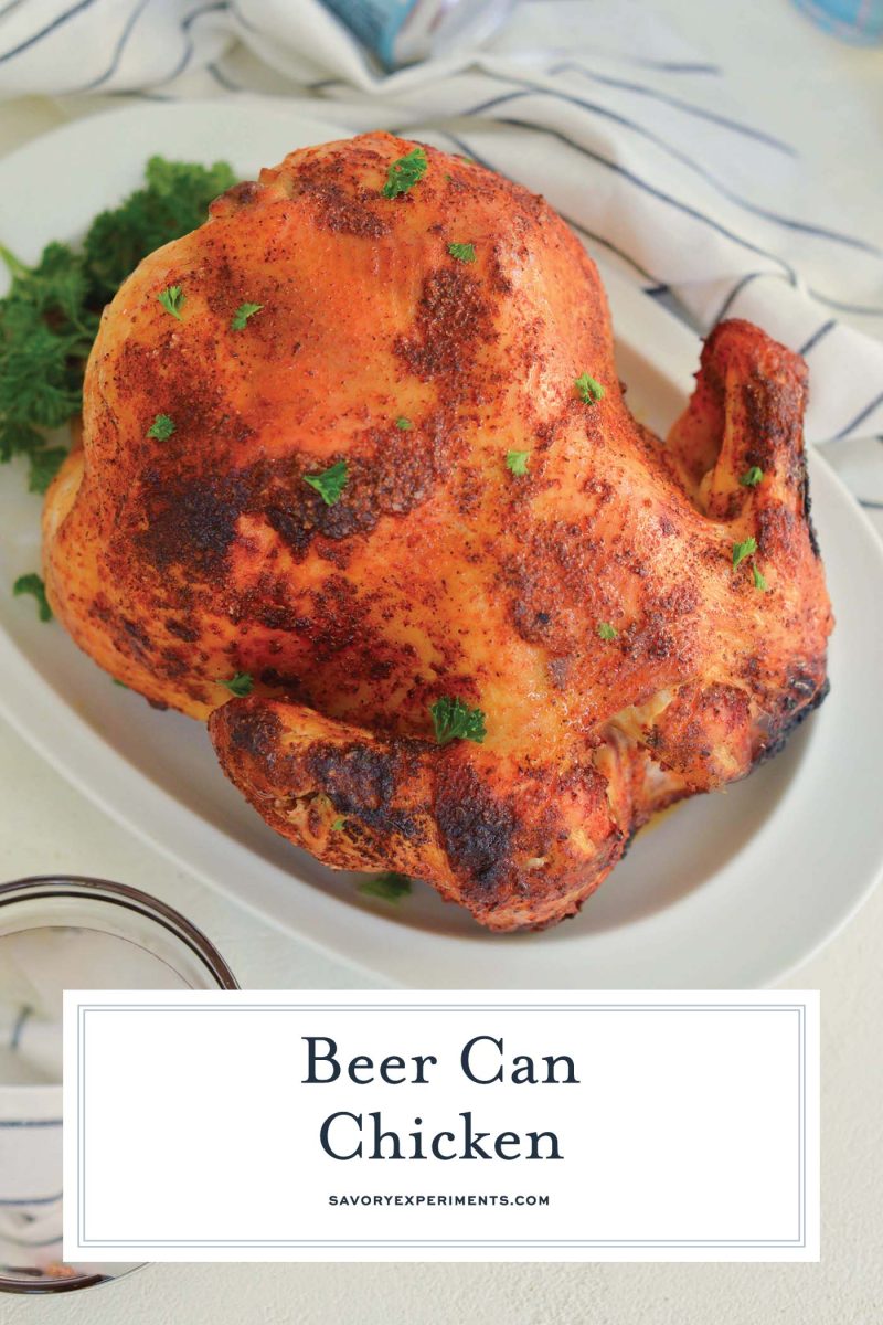 Buy the Outset Cast Iron Beer Can Chicken and Garlic Roaster