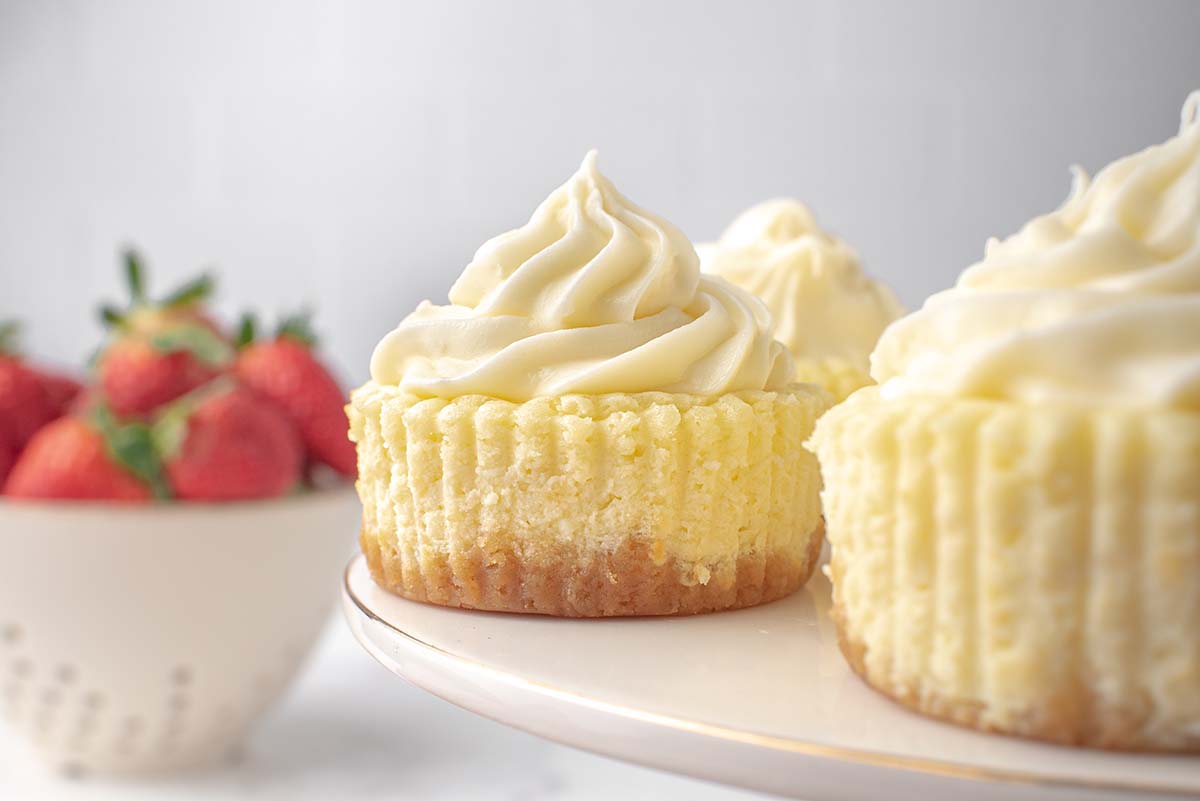 unwrapped cheesecake cupcakes 