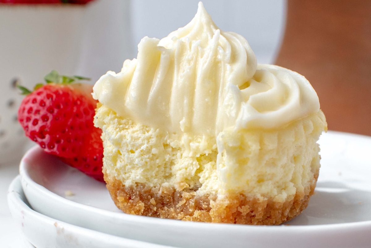 cheesecake muffin with a bite taken out 