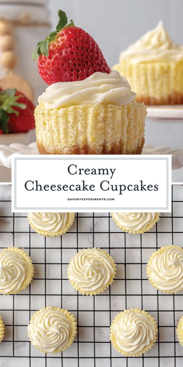 cheesecake cupcake recipe for pinterest 