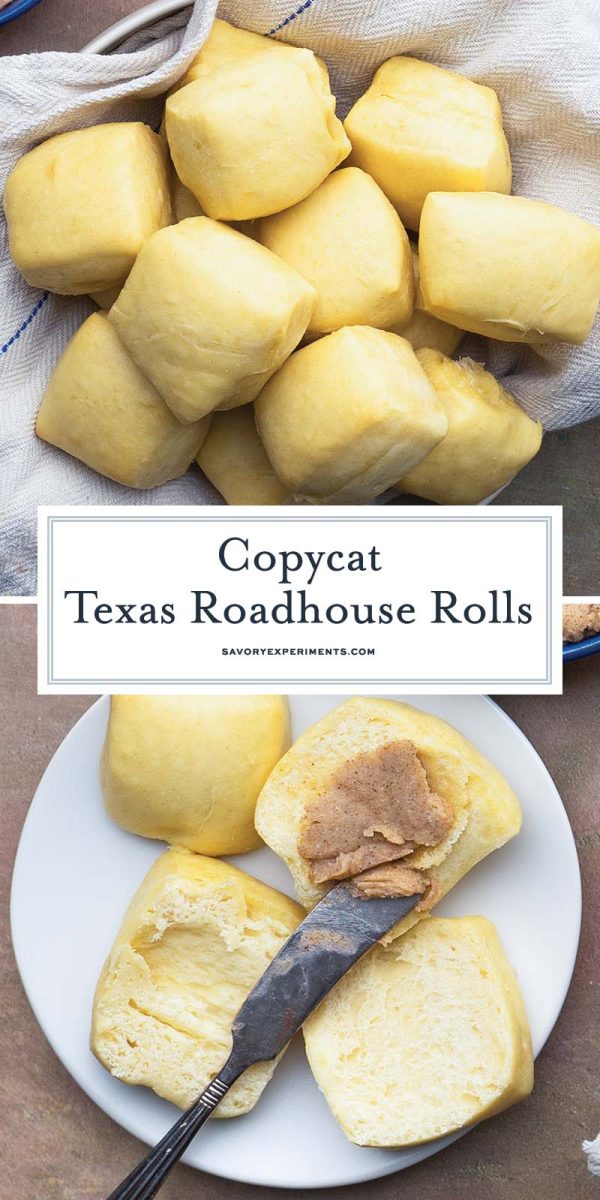 homemade dinner roll recipe for pinterest 