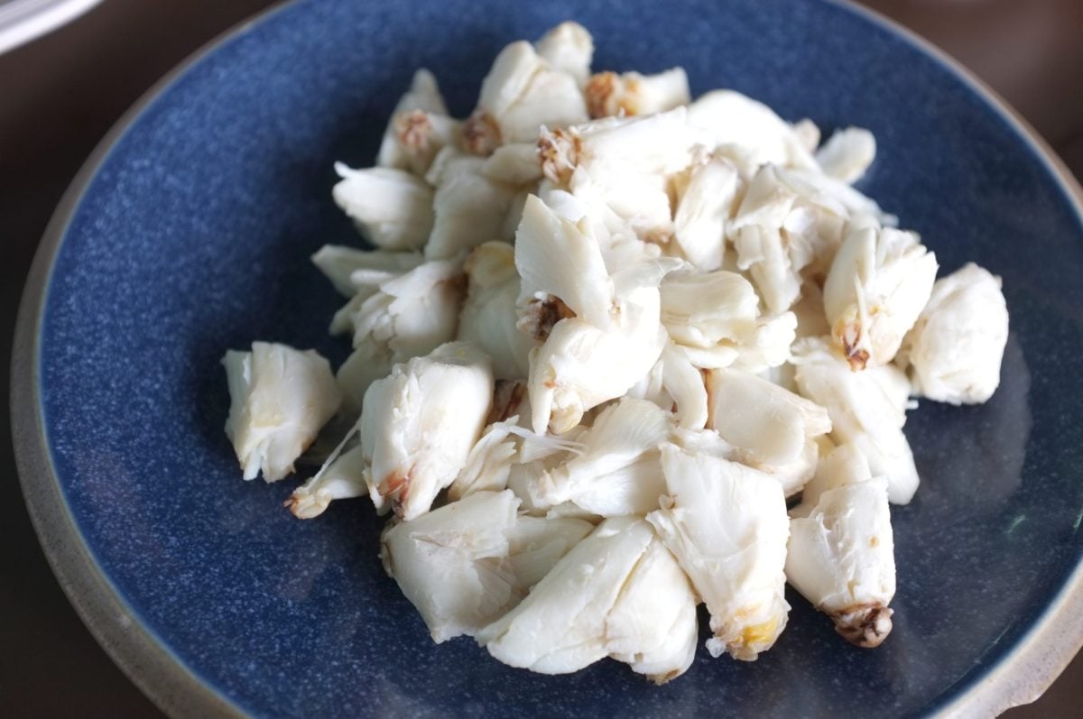 bowl bowl with jumbo lump crab meat from a blue crab 