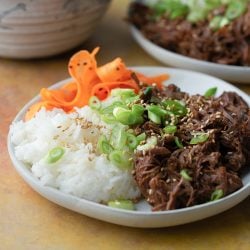 straight on shot of bowl of korean beef barbecue