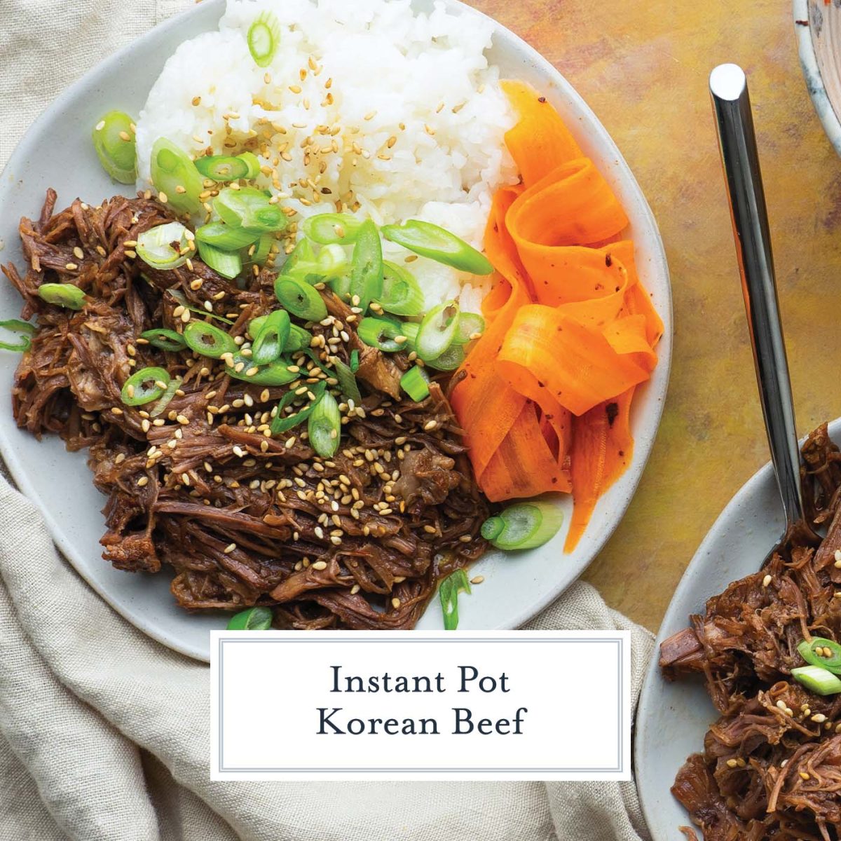 overhead shot of one bowl of korean beef barbecue for facebook