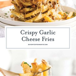 collage of garlic cheese fries for pinterest