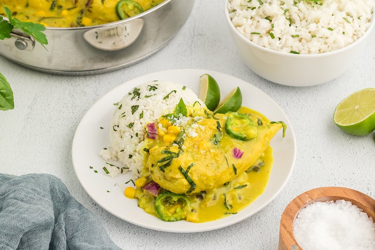 coconut chicken curry on a plate with rice