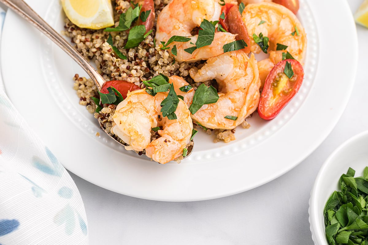 fork picking up a succulent shrimp over red quinoa 