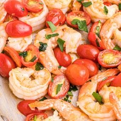 close up of garlic butter shrimp with tomatoes