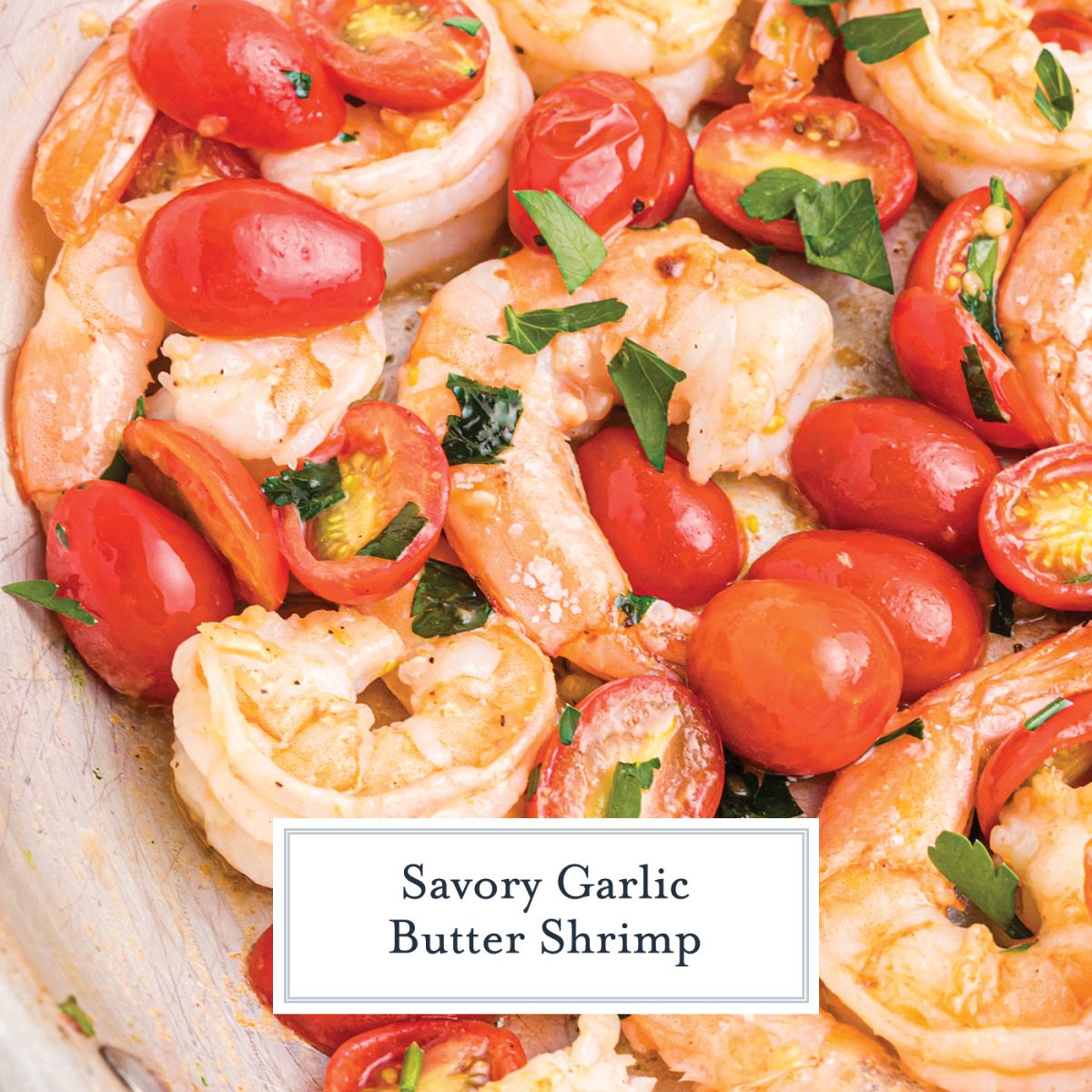 close up of shrimp in a garlic butter sauce with fresh parsley