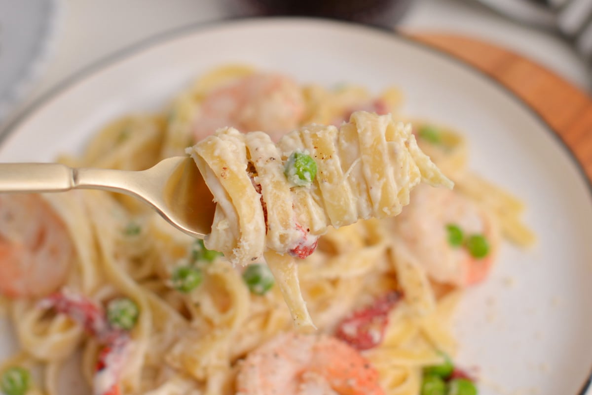 alfredo pasta on a fork 