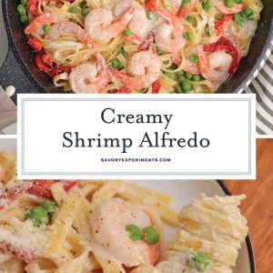 shrimp alfredo recipe for pinterest