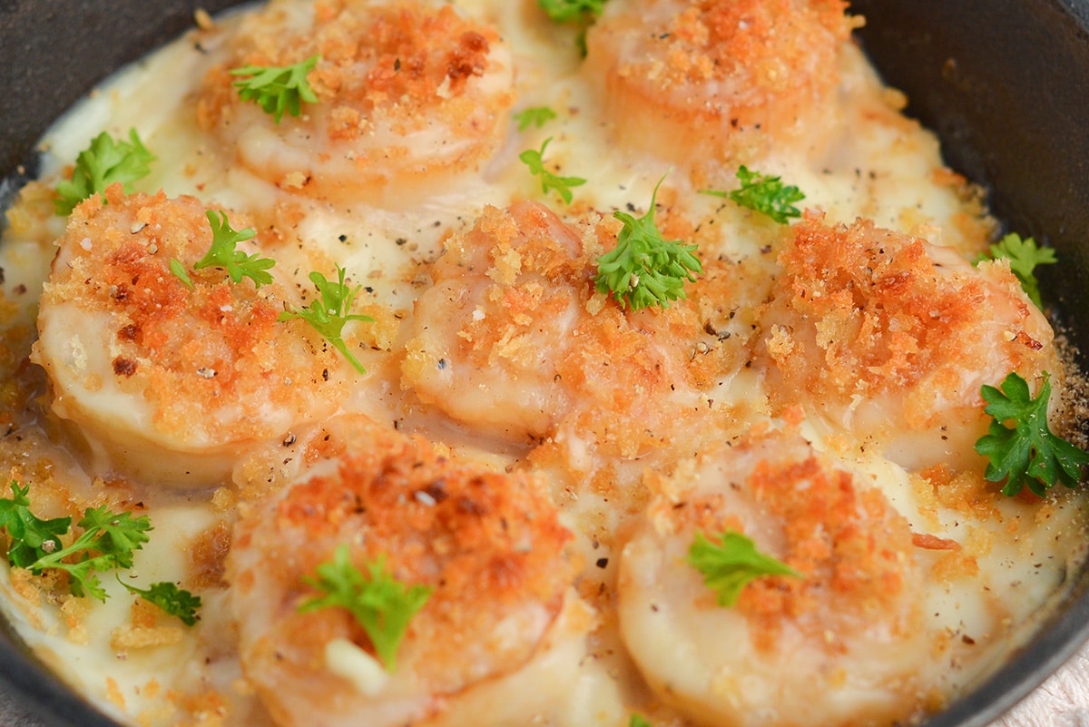close up of scallops with breadcrumb topping