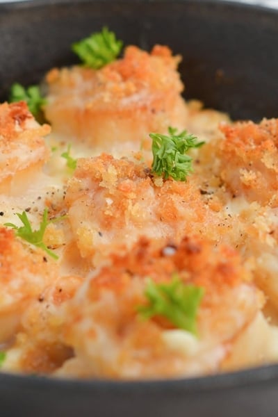 close up view of scallops with breadcrumb topping and cream sauce