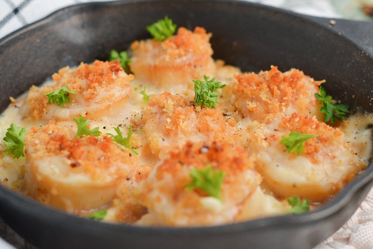 close up view of scallops with breadcrumb topping and cream sauce