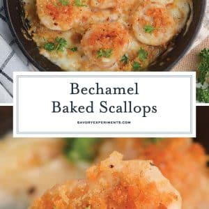 baked scallop recipe for pinterest