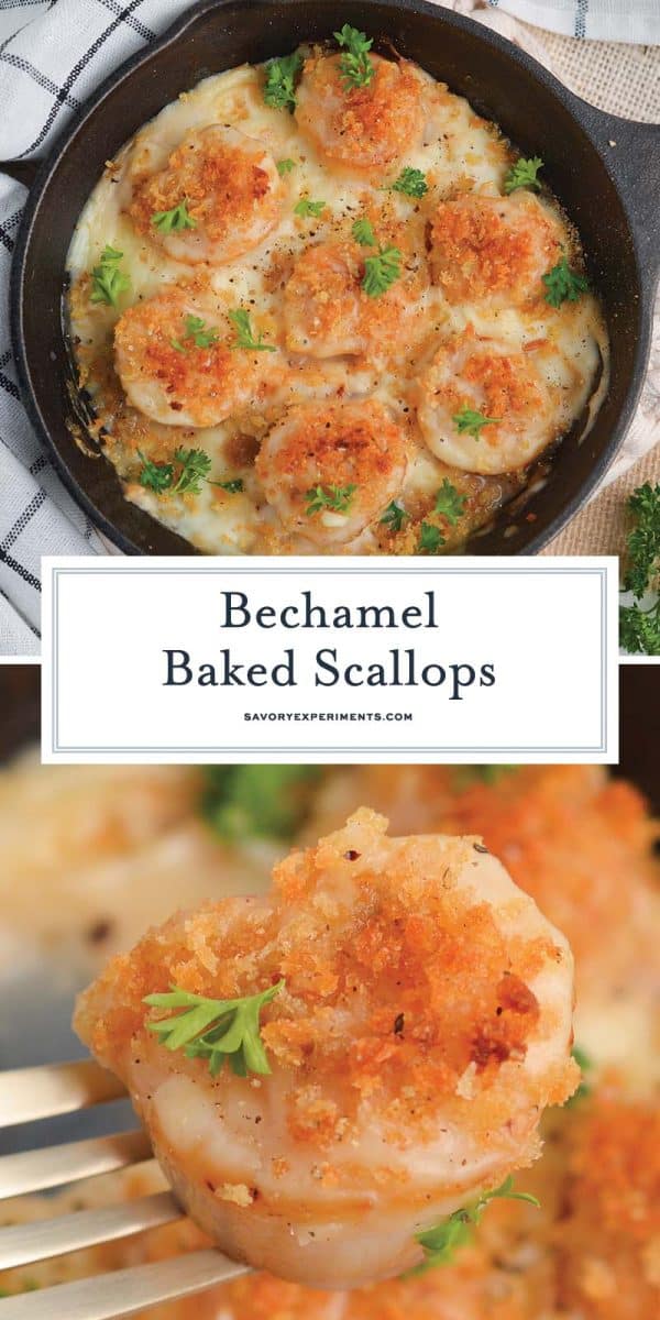 baked scallop recipe for pinterest