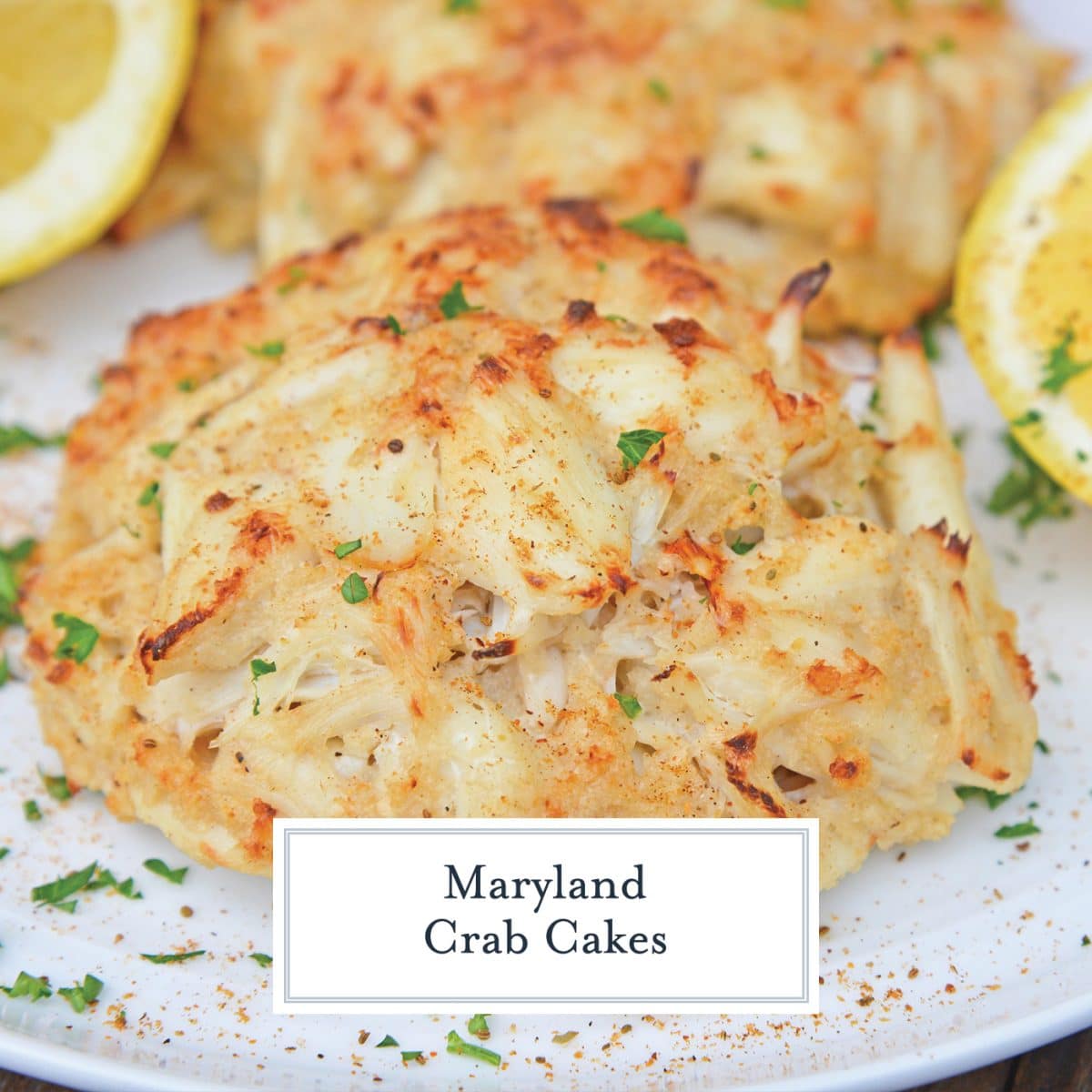 Jumbo Lump Maryland Crab Cakes