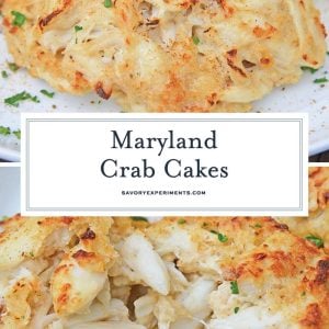 Authentic Jumbo Lump Maryland Crab Cakes : The REAL Deal
