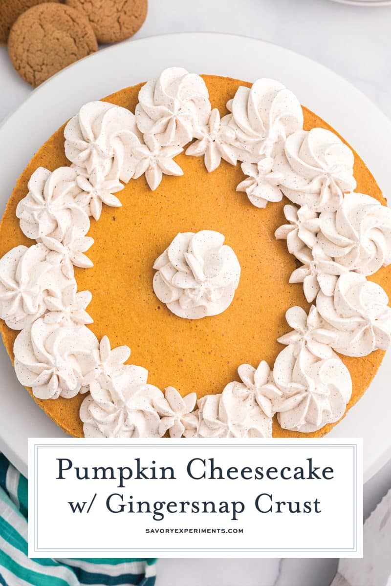 overhead pumpkin cheesecake with pumpkin spice whipped cream