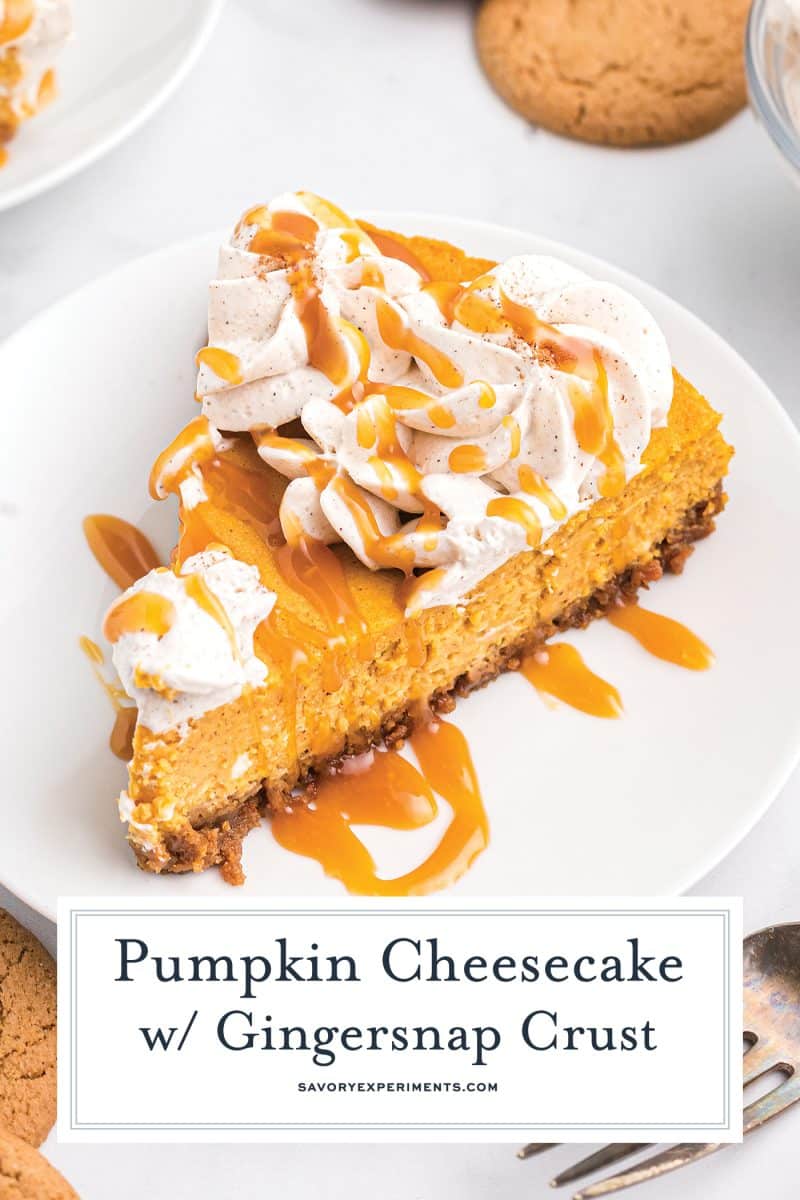 decorated slice of pumpkin cheescake