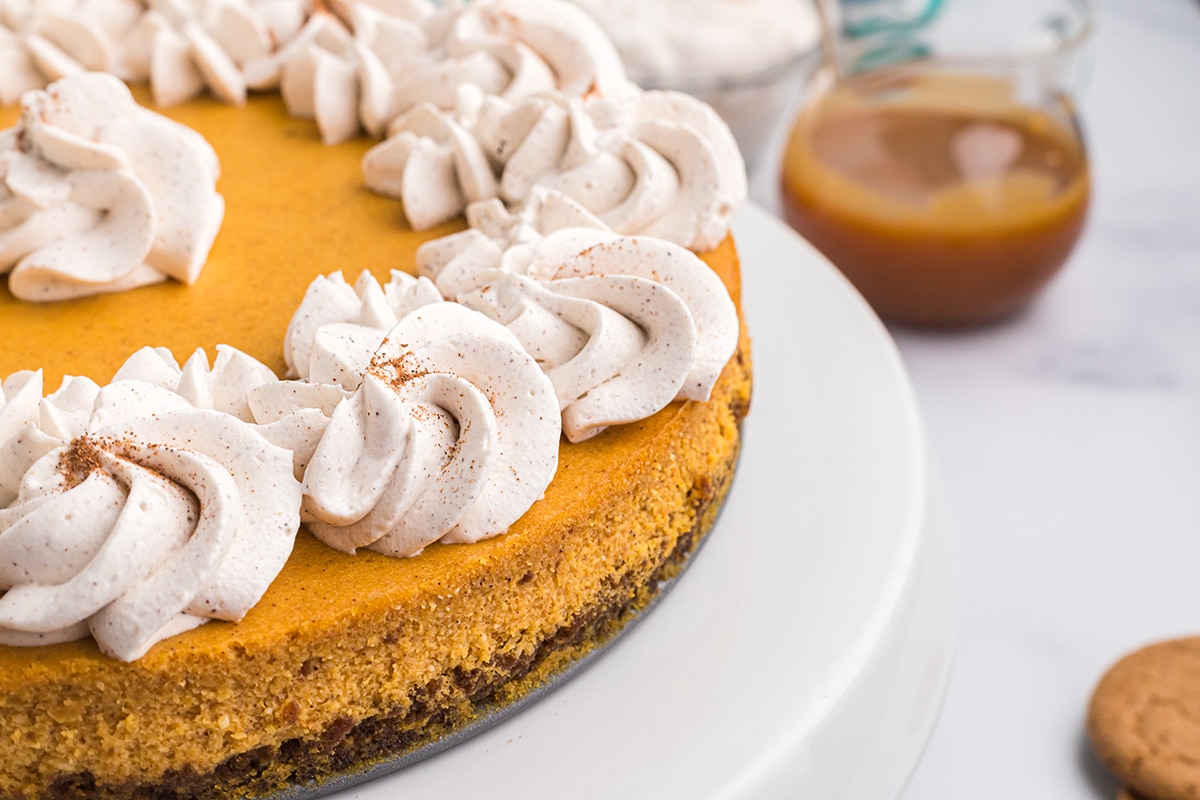 close up of whipped cream flowers on a cheesecake