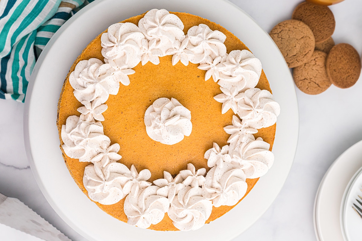 overhead of pumpkin cheesecake with whipped cream dollops