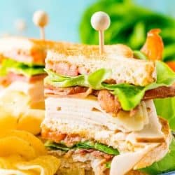 turkey club sandwich with toothpicks