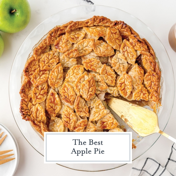 BEST Apple Pie Recipe (A Classic Recipe for Fall and Holidays!)