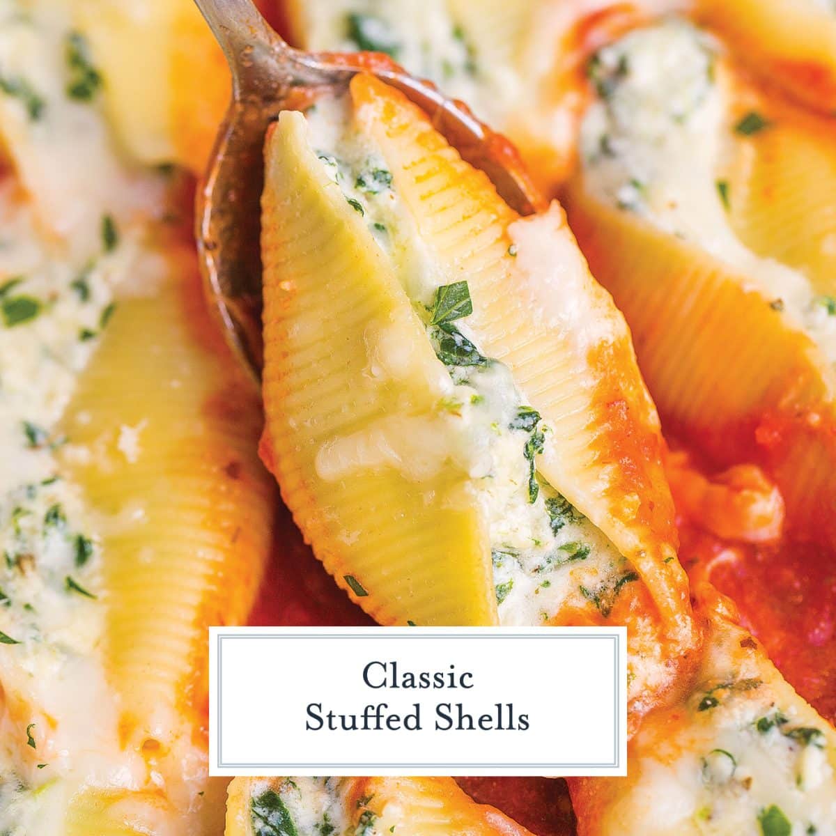 Simple Cheesy Ricotta Stuffed Shells