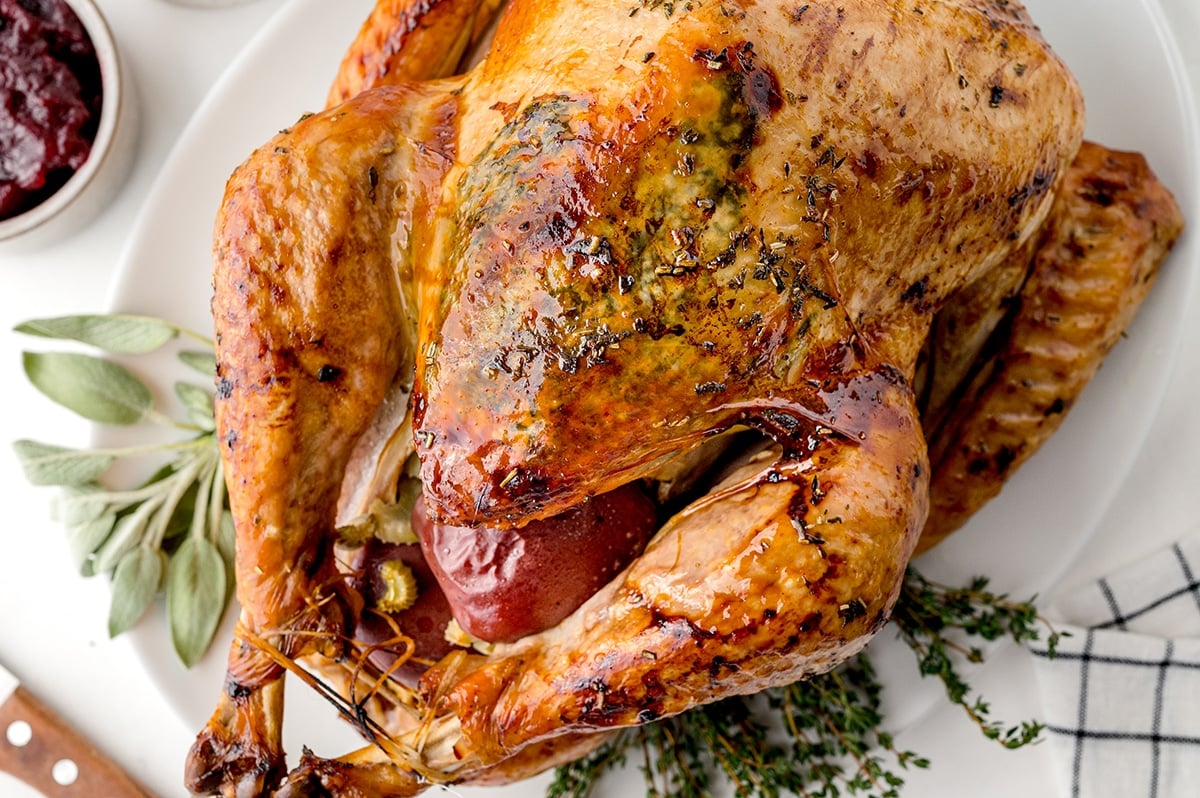 how long to brine a 12 lb turkey - DeKookGuide