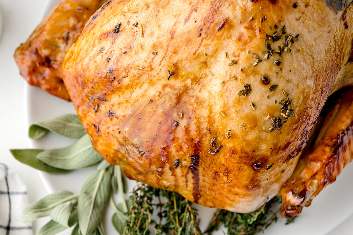 close up of roasted turkey breast