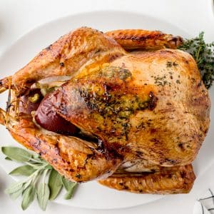 overhead shot of roasted turkey on a platter