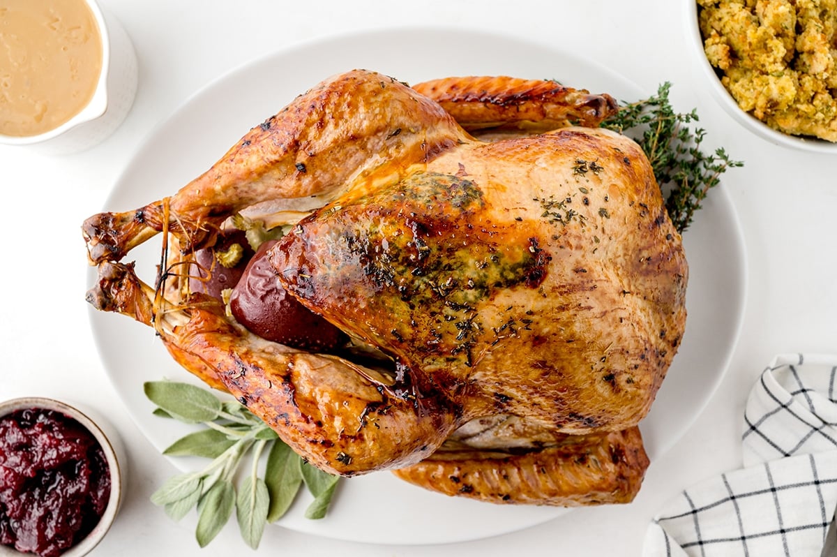 overhead shot of roasted turkey on a platter