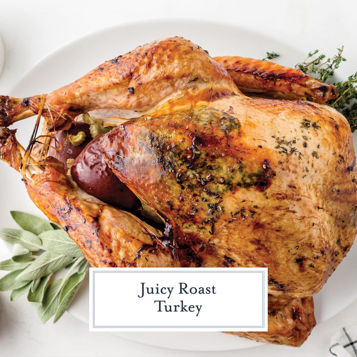 overhead shot of juicy roast turkey with text overlay for facebook